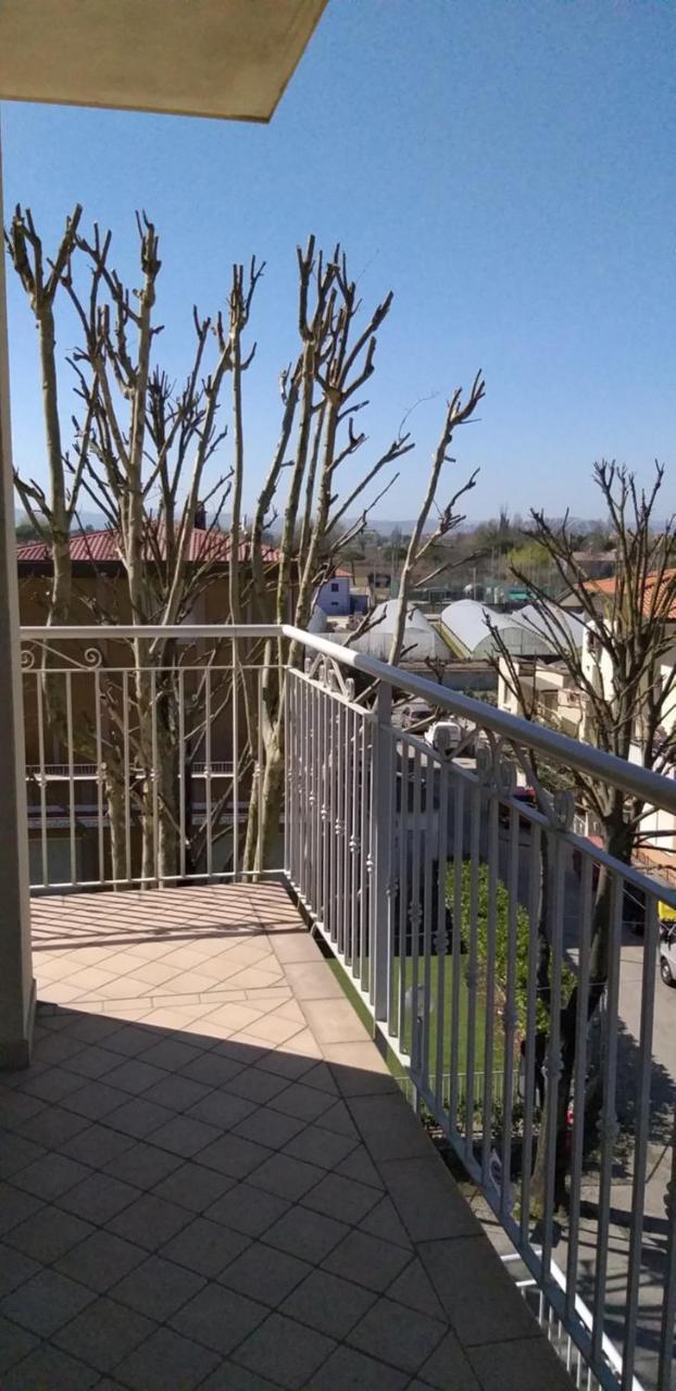 Hotel Alfa Anche In All Inclusive Rimini Exterior foto